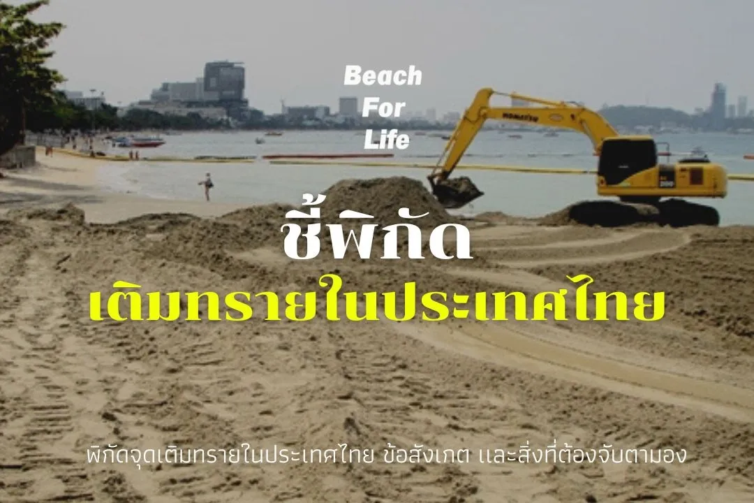 Picture of Beach